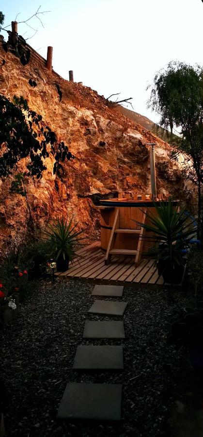 ホテル Casa Ollagua Vicuña エクステリア 写真