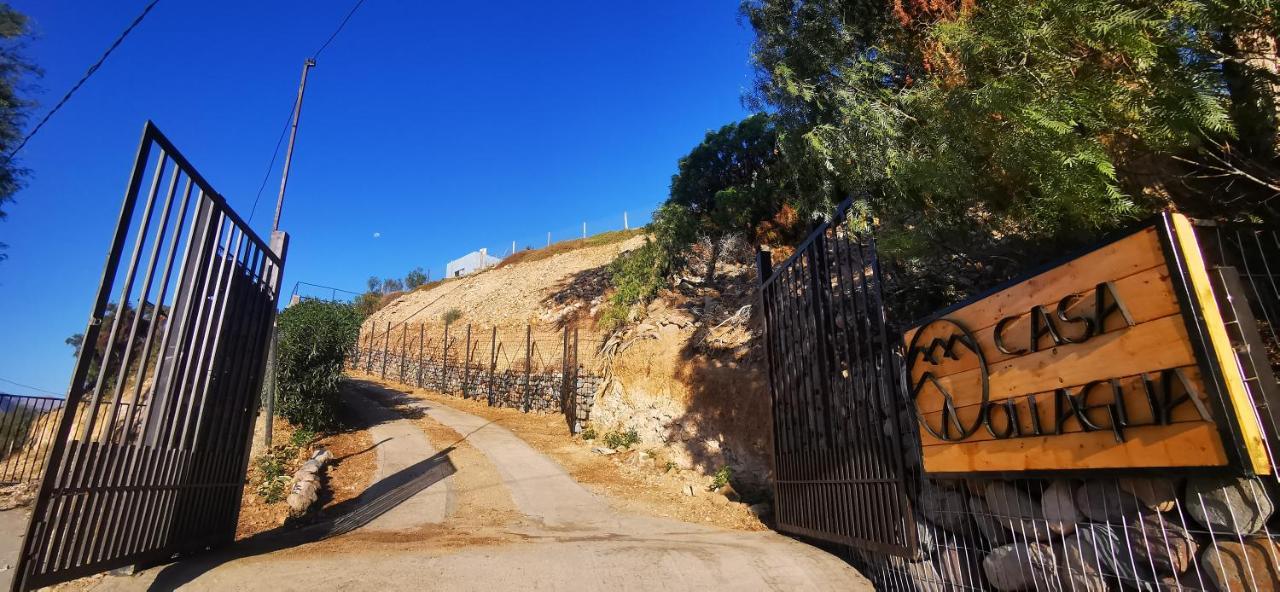 ホテル Casa Ollagua Vicuña エクステリア 写真