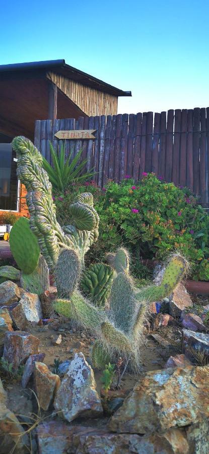ホテル Casa Ollagua Vicuña エクステリア 写真