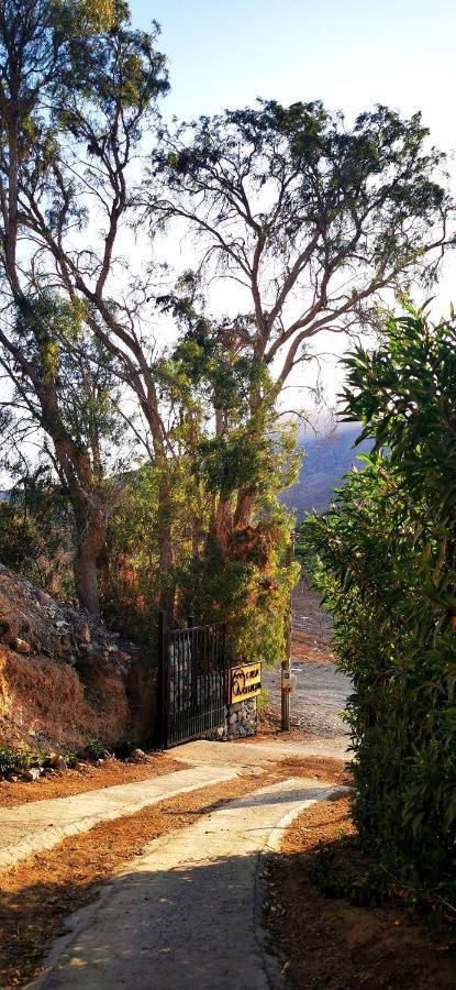 ホテル Casa Ollagua Vicuña エクステリア 写真